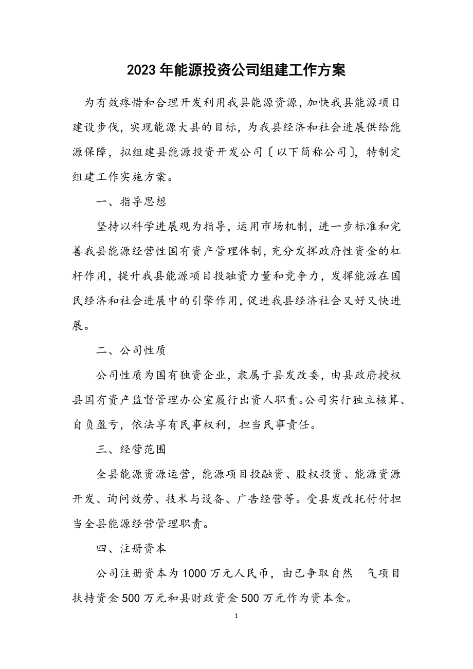 2023年能源投资公司组建工作方案.docx_第1页