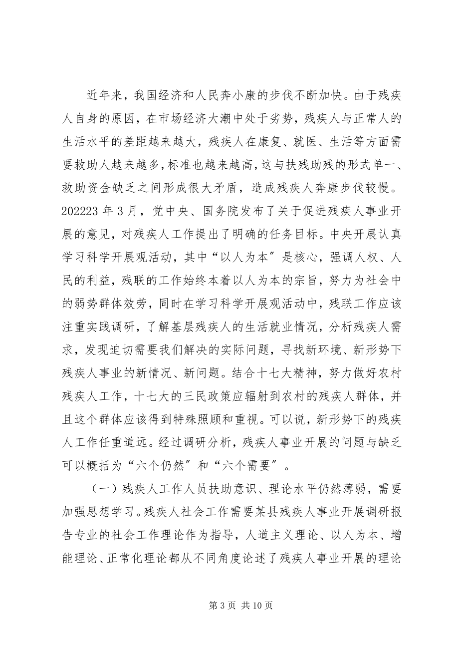 2023年xx县残疾人事业发展调研报告.docx_第3页