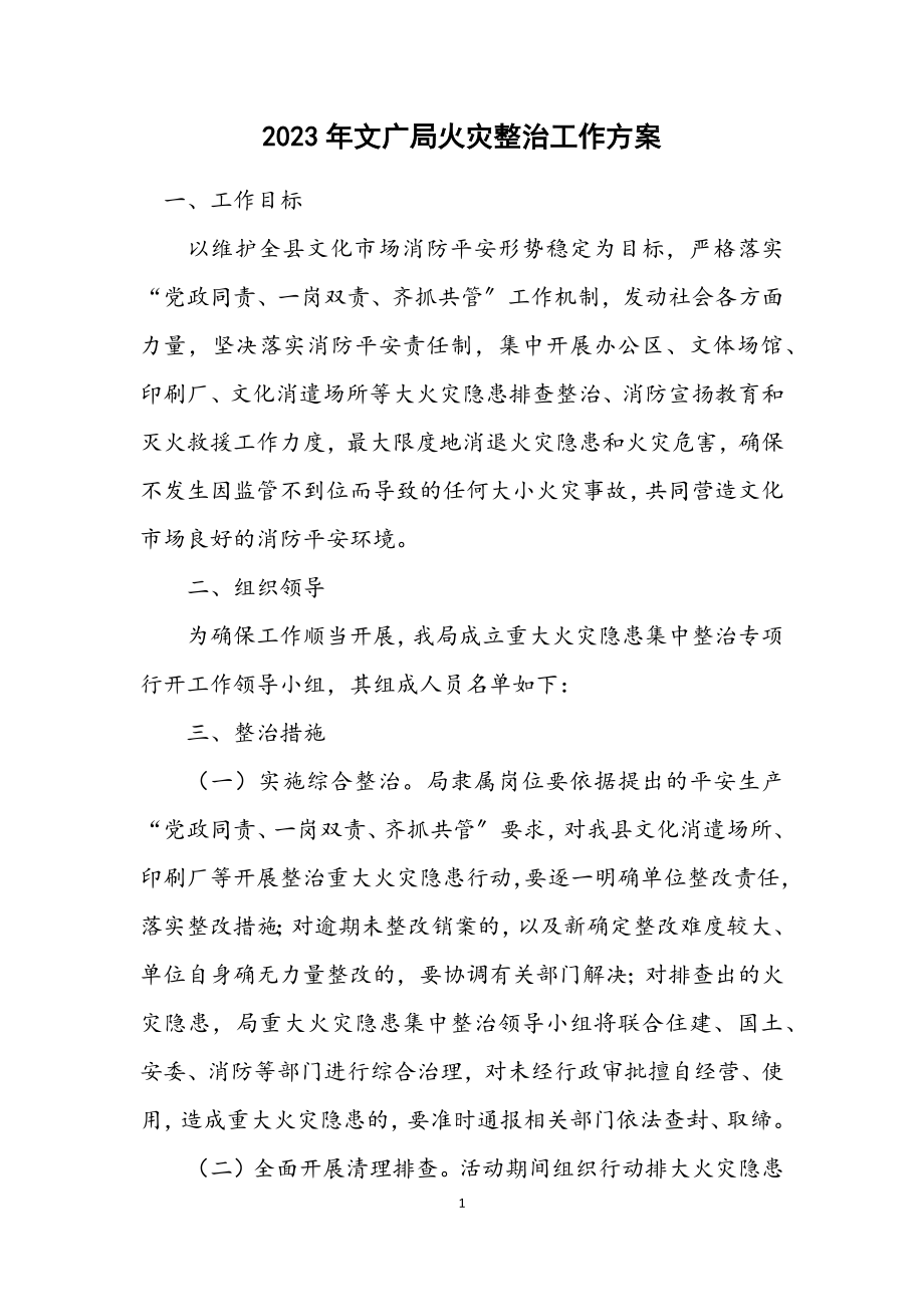 2023年文广局火灾整治工作方案.docx_第1页