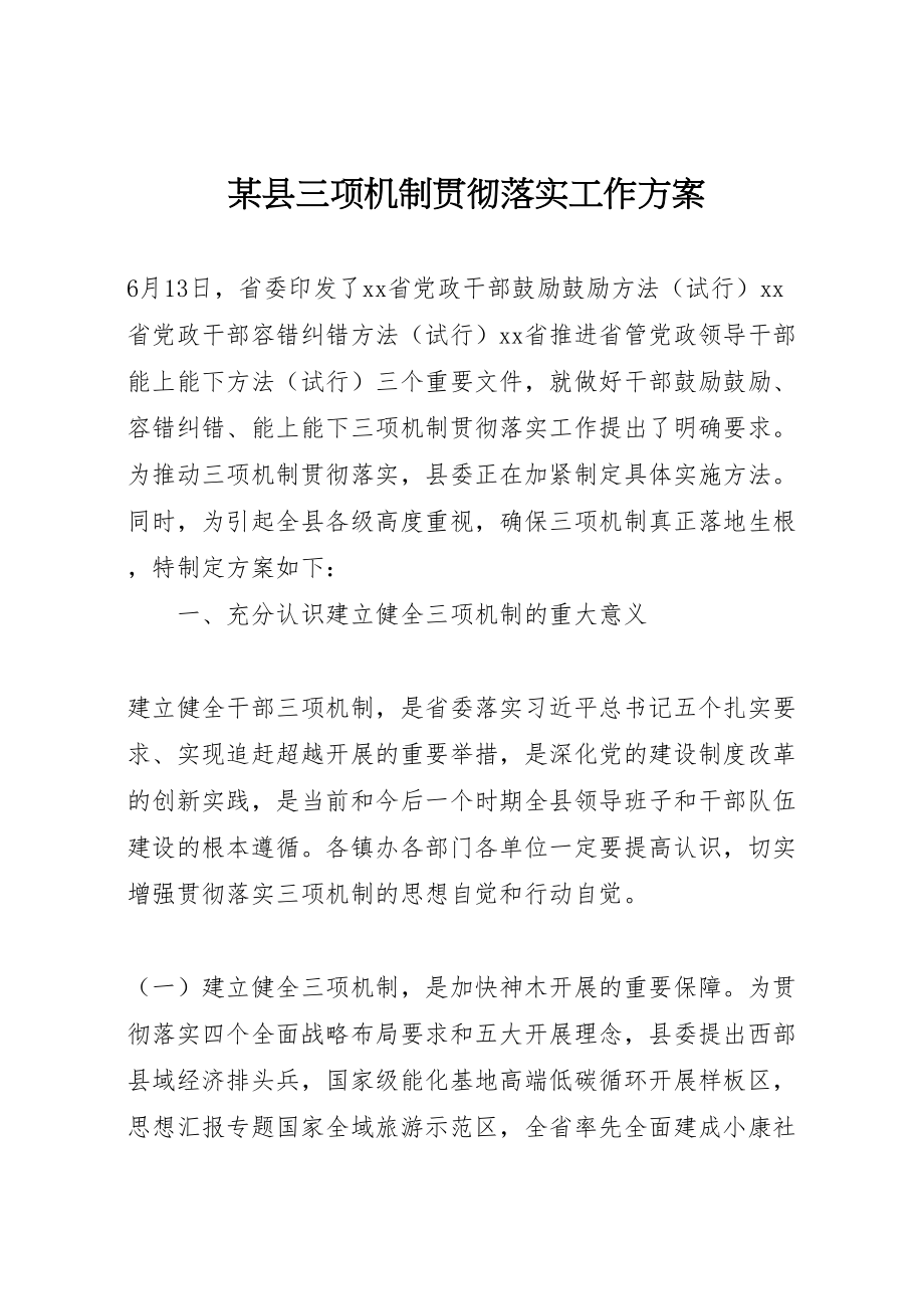 2023年某县三项机制贯彻落实工作方案.doc_第1页