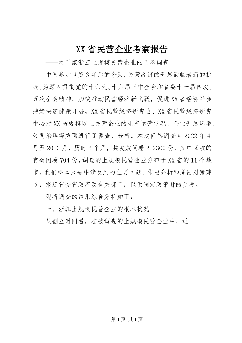 2023年XX省民营企业考察报告新编.docx_第1页