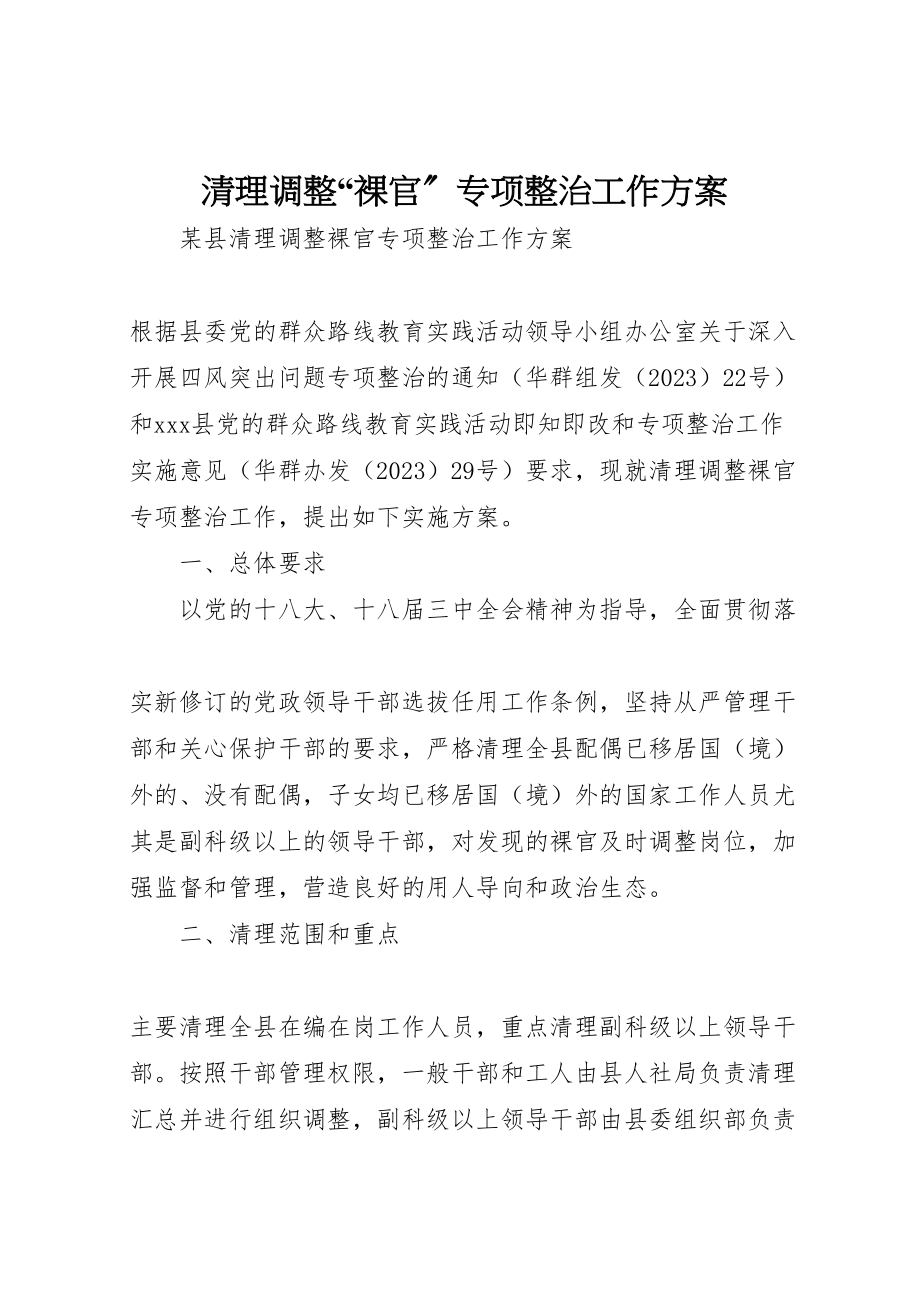 2023年清理调整裸官专项整治工作方案 .doc_第1页