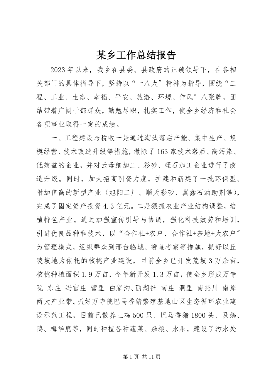 2023年xx乡工作总结报告.docx_第1页