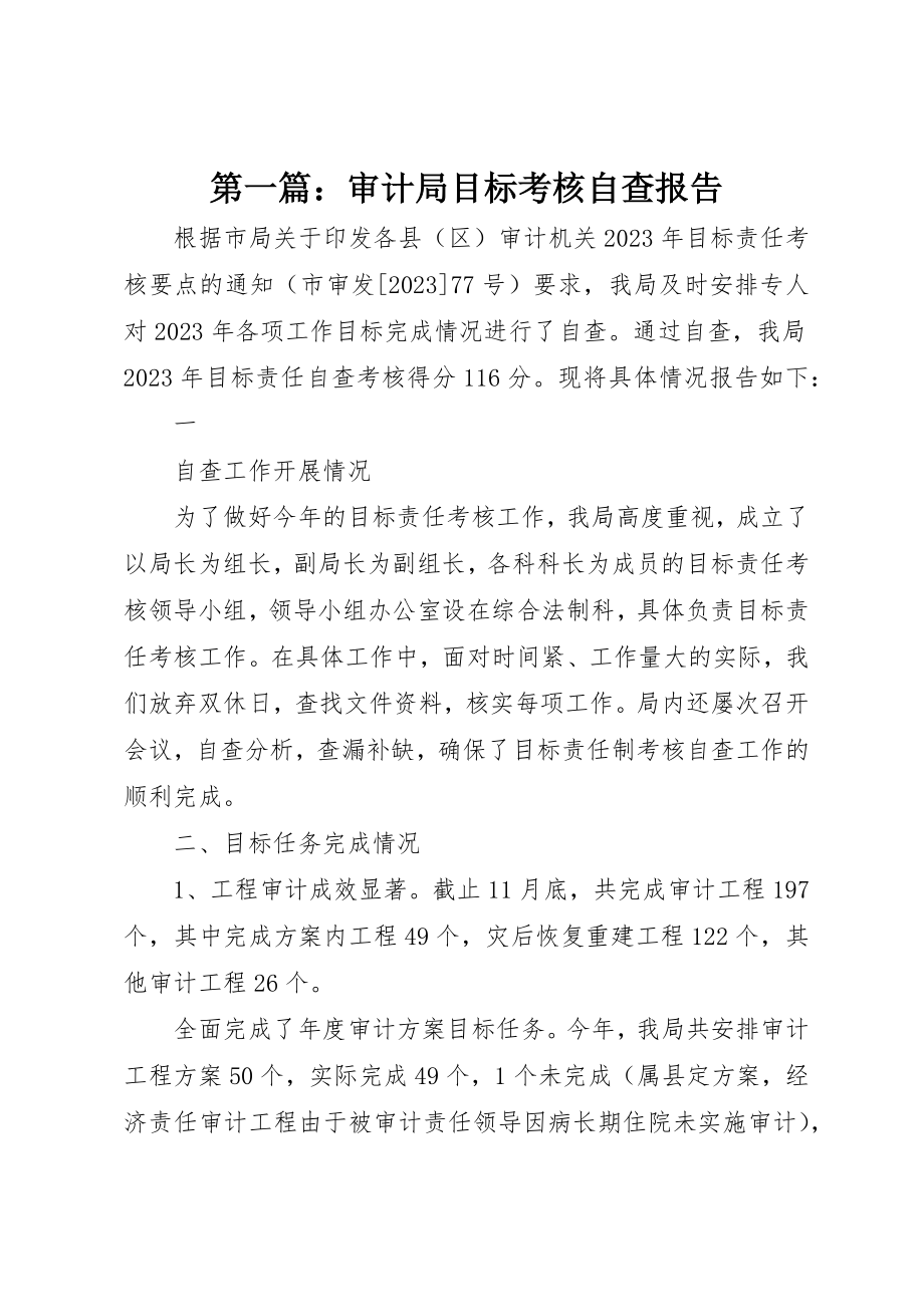 2023年xx审计局目标考核自查报告新编.docx_第1页