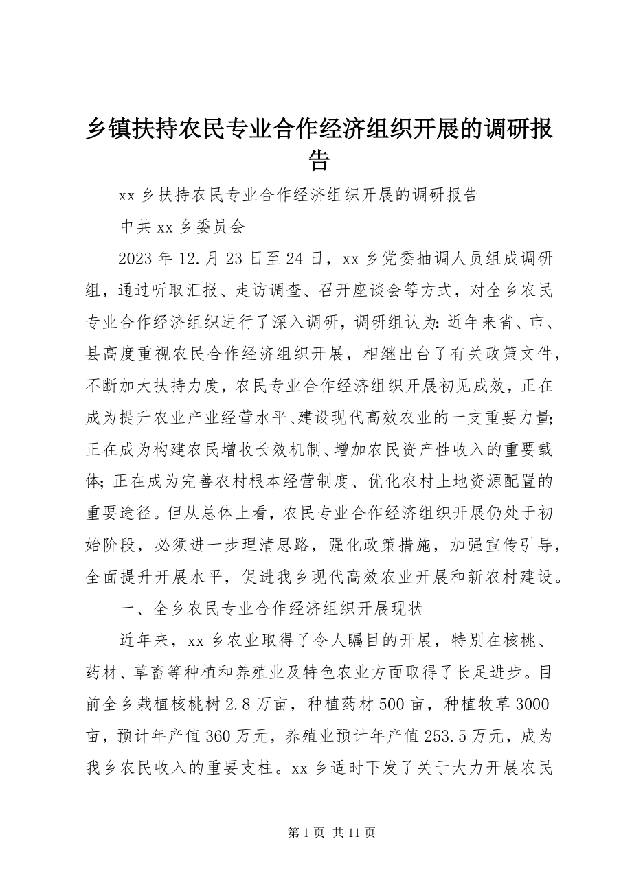 2023年乡镇扶持农民专业合作经济组织发展的调研报告.docx_第1页