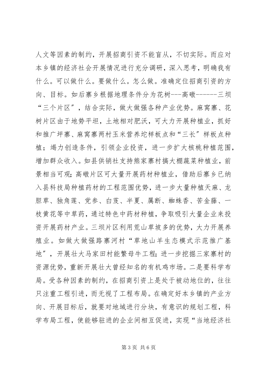 2023年乡镇招商引资工作调研报告.docx_第3页