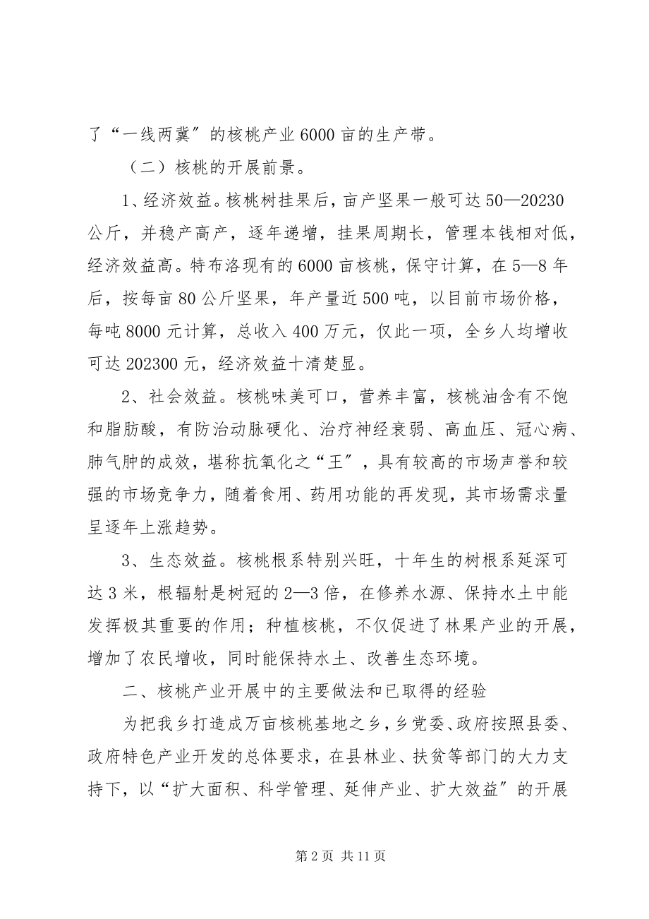 2023年乡镇核桃产业调研报告.docx_第2页