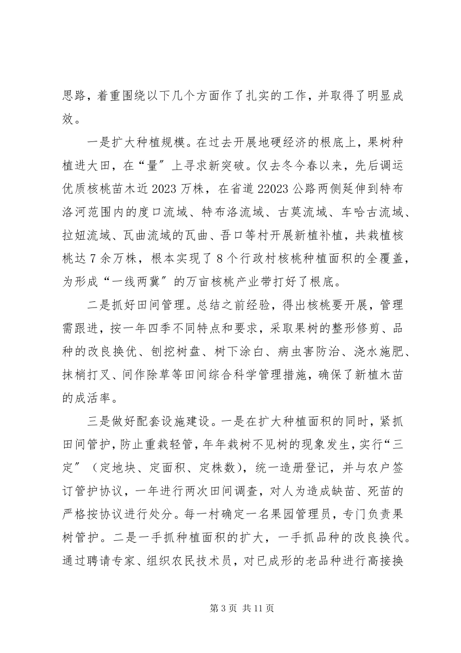 2023年乡镇核桃产业调研报告.docx_第3页