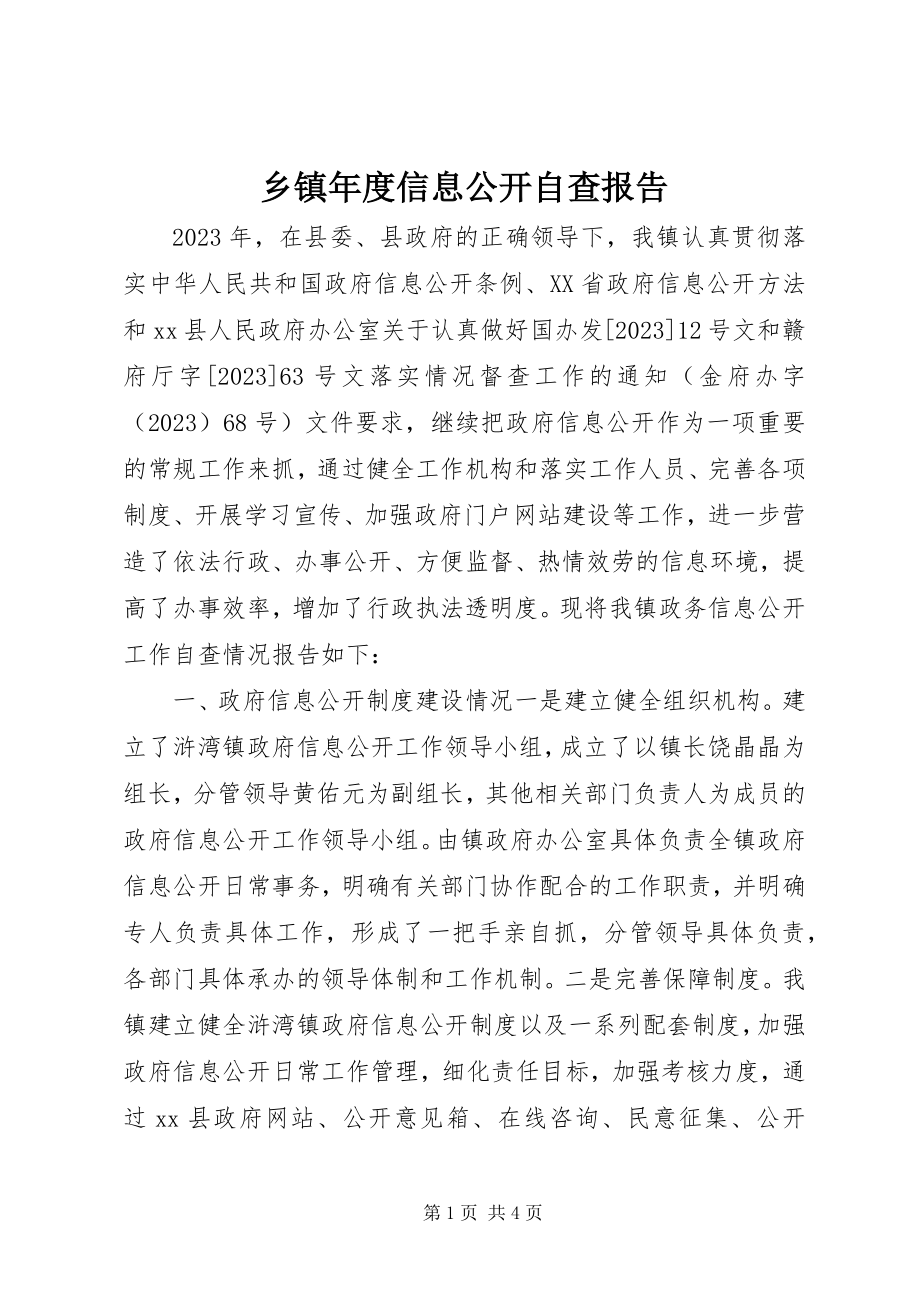 2023年乡镇年度信息公开自查报告.docx_第1页