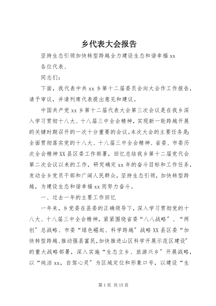 2023年乡代表大会报告.docx_第1页