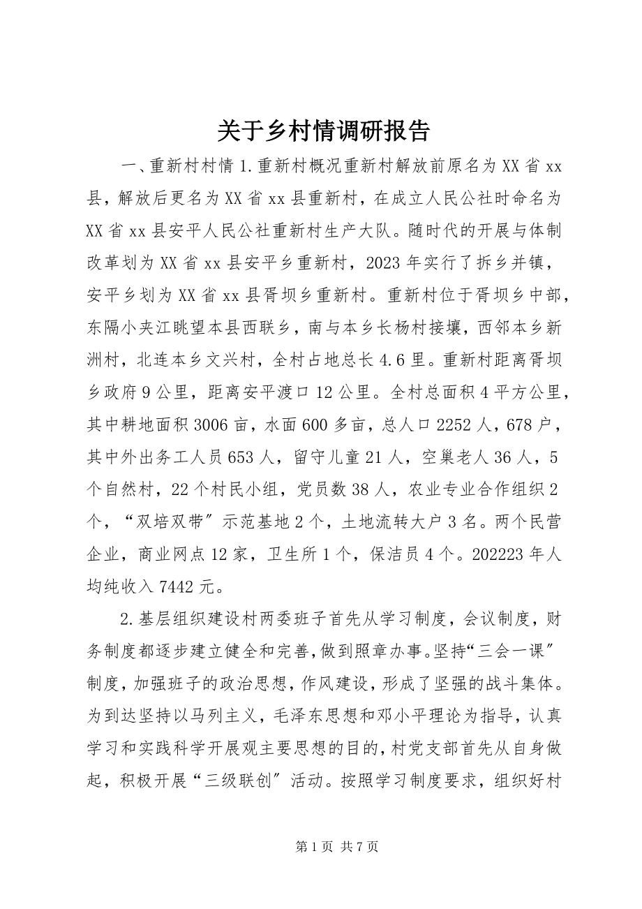 2023年乡村情调研报告.docx_第1页