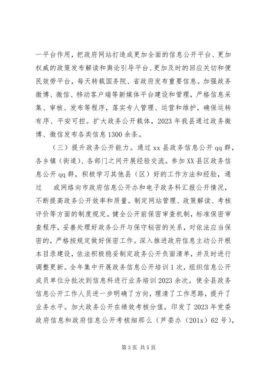 2023年人民政府办公室政务公开工作自查情况报告.docx_第3页