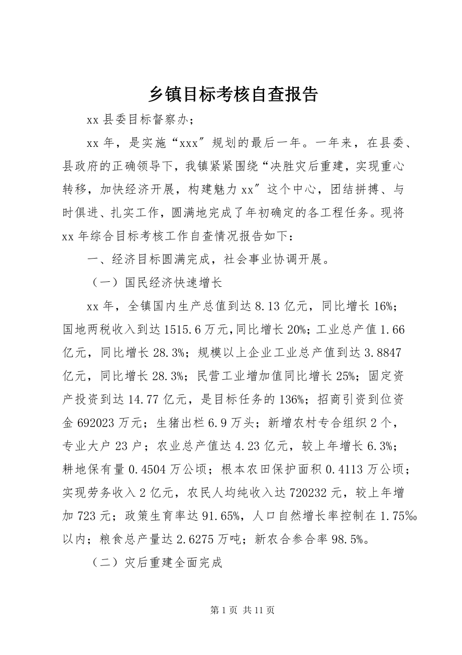 2023年乡镇目标考核自查报告.docx_第1页