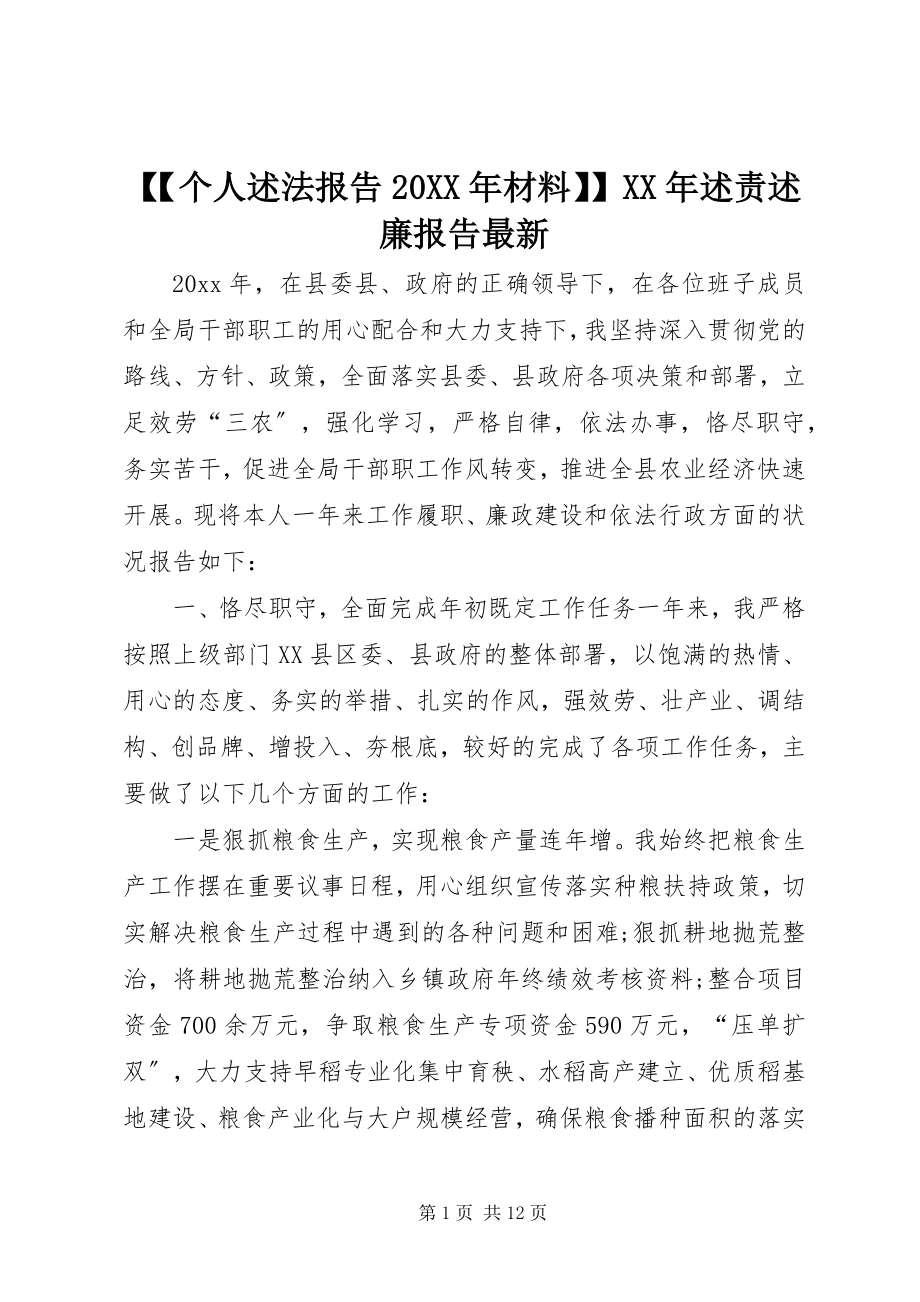 2023年个人述法报告材料述责述廉报告.docx_第1页