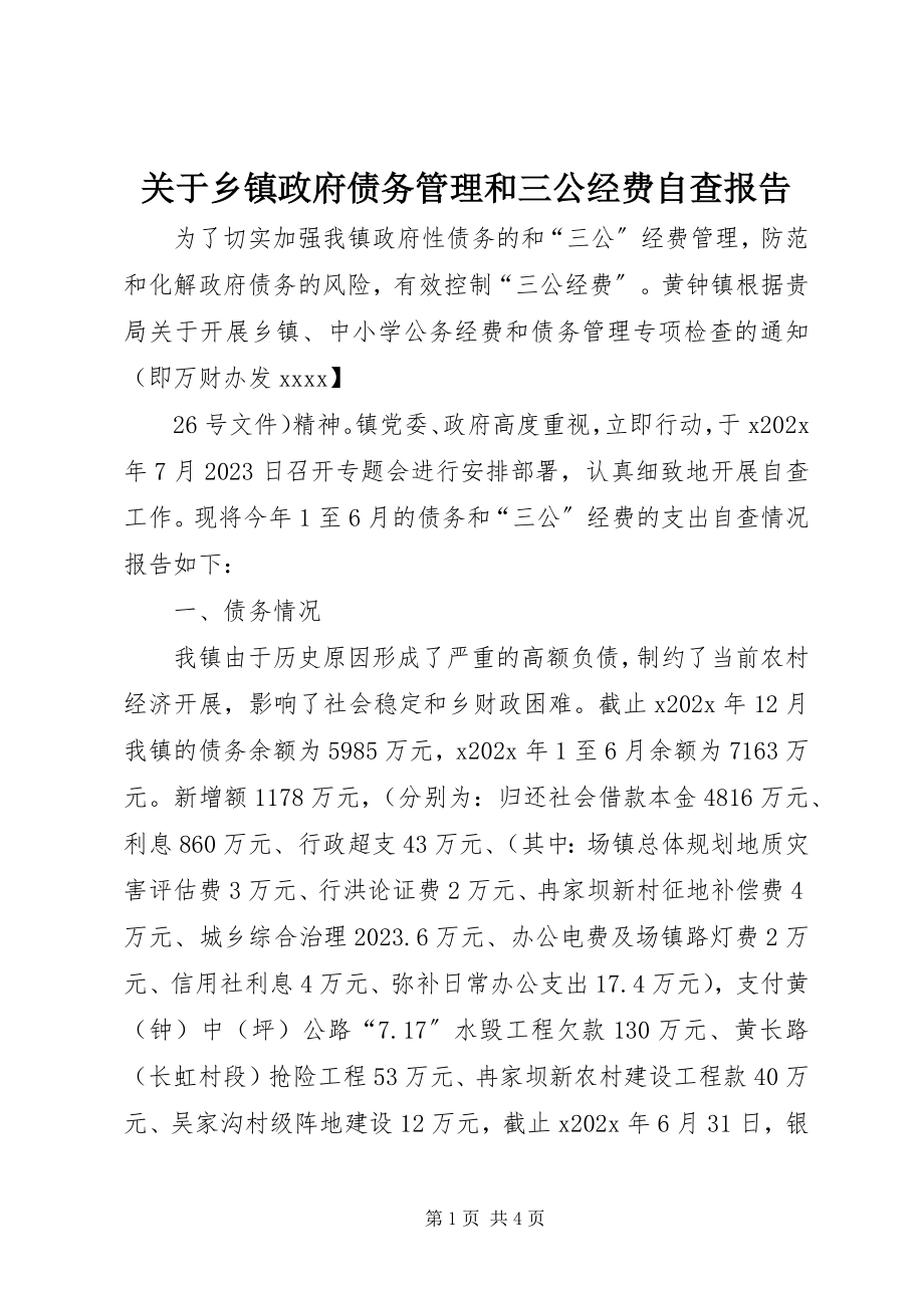 2023年乡镇政府债务管理和三公经费自查报告.docx_第1页