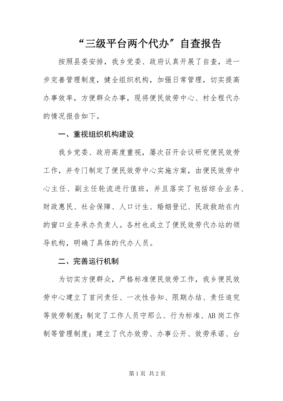 2023年三级平台两个代办自查报告.docx_第1页