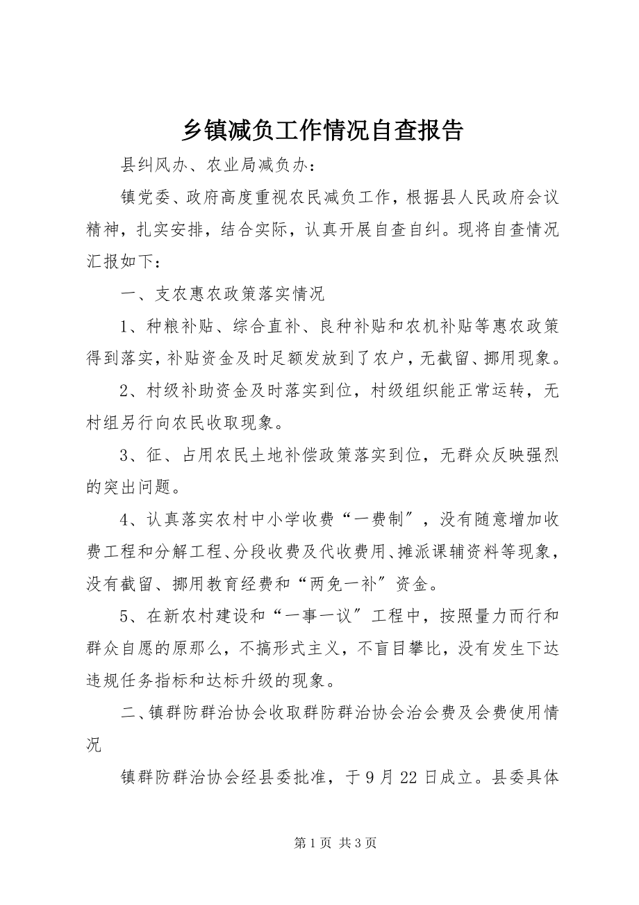 2023年乡镇减负工作情况自查报告.docx_第1页