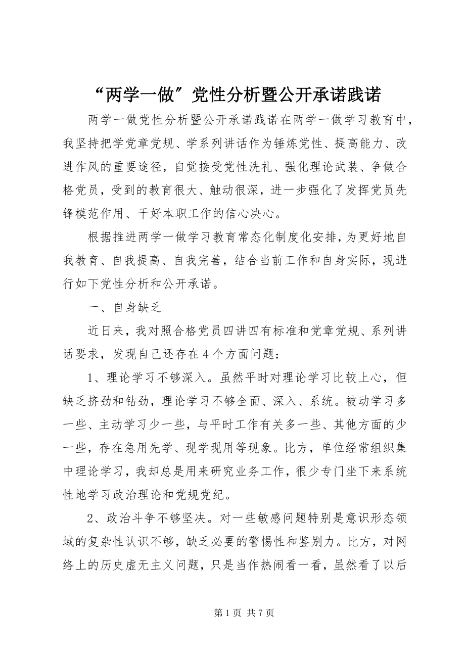 2023年两学一做党性分析暨公开承诺践诺.docx_第1页