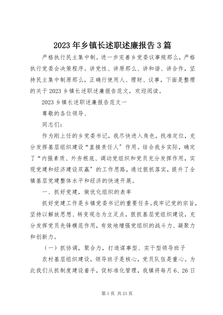 2023年乡镇长述职述廉报告3篇.docx_第1页