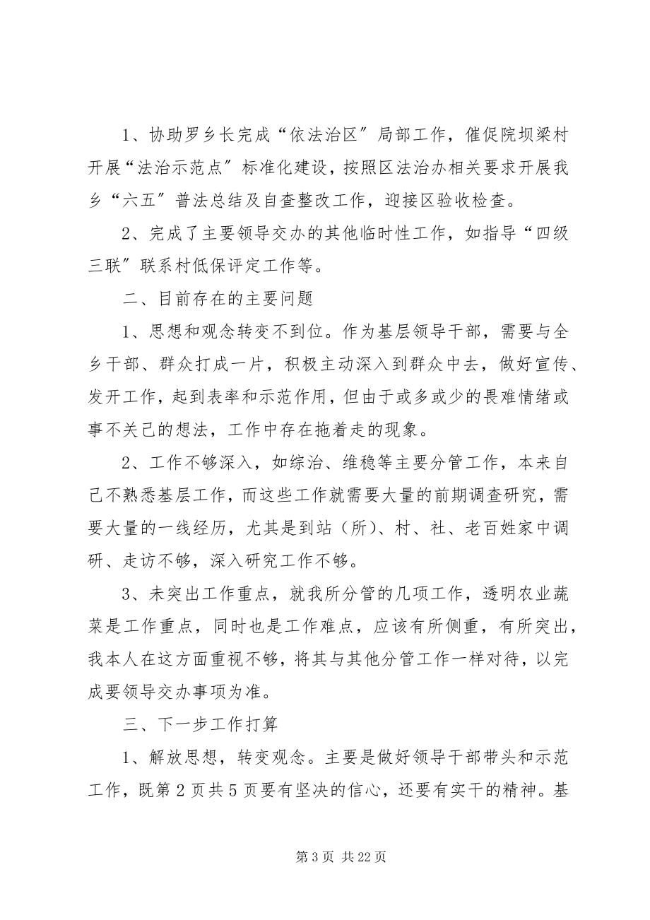 2023年乡党委副书记个人述职报告与乡党委招商选资述职报告.docx_第3页