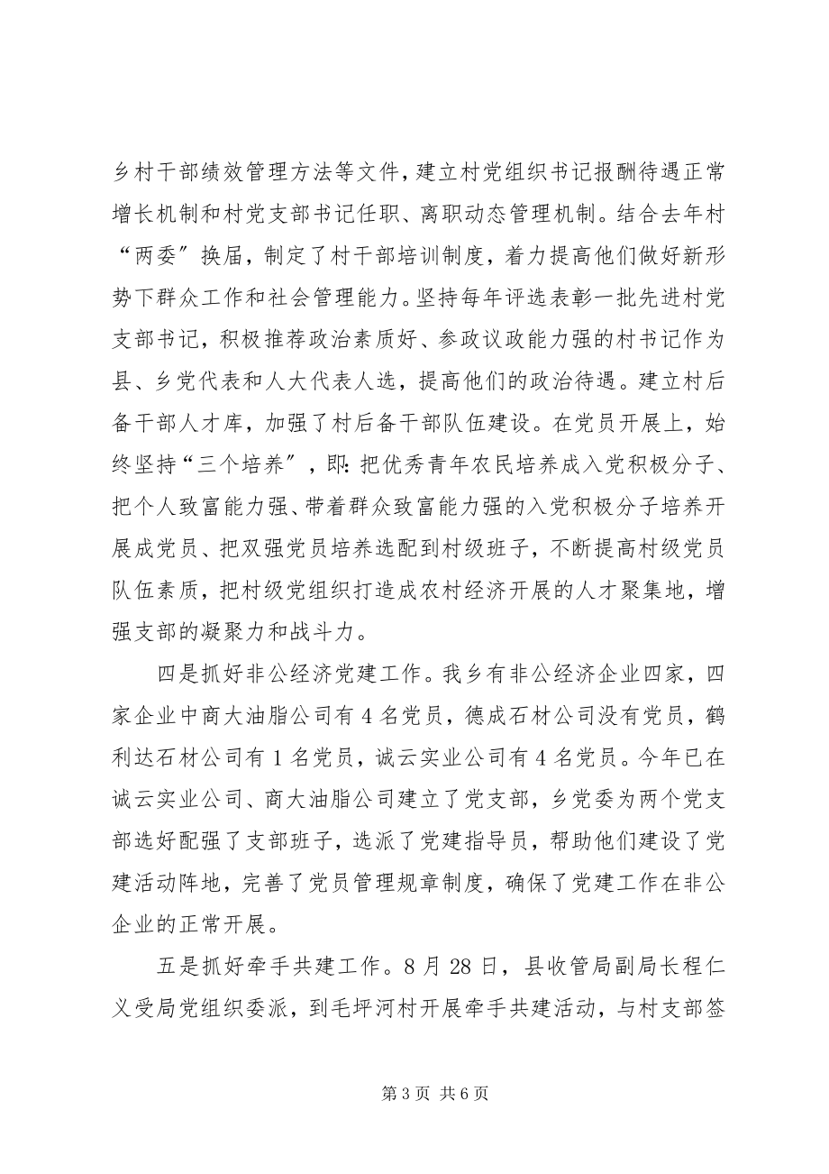 2023年乡组织委员党建工作述职报告.docx_第3页