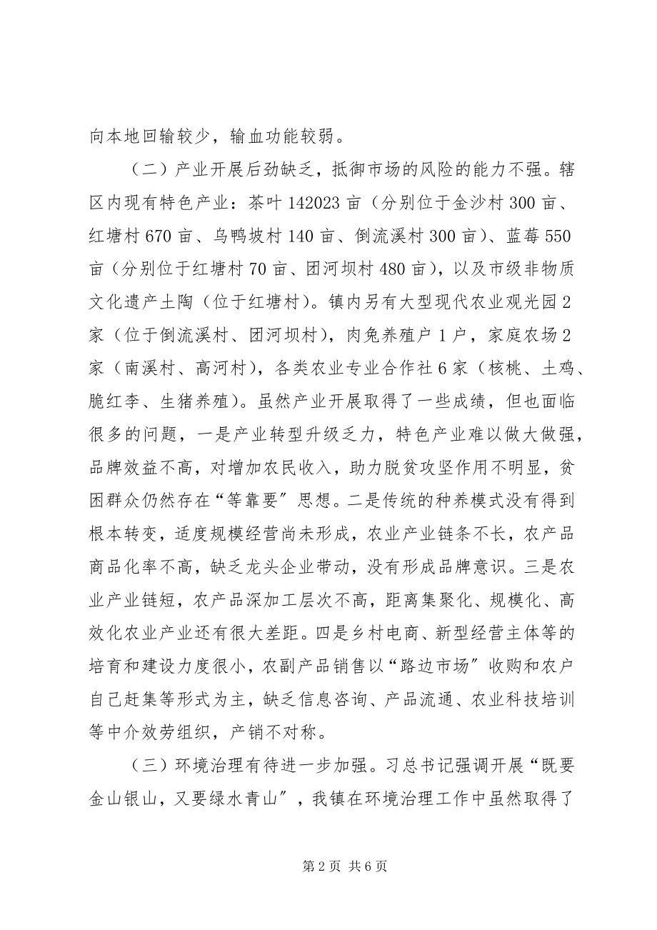 2023年乡镇大学习大讨论大调研活动调研报告.docx_第2页