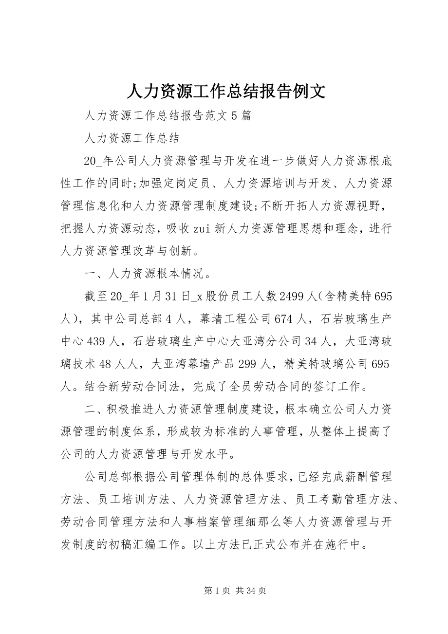 2023年人力资源工作总结报告例文.docx_第1页