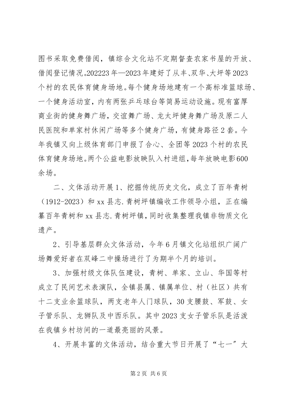 2023年乡镇综合文化站工作调研报告.docx_第2页