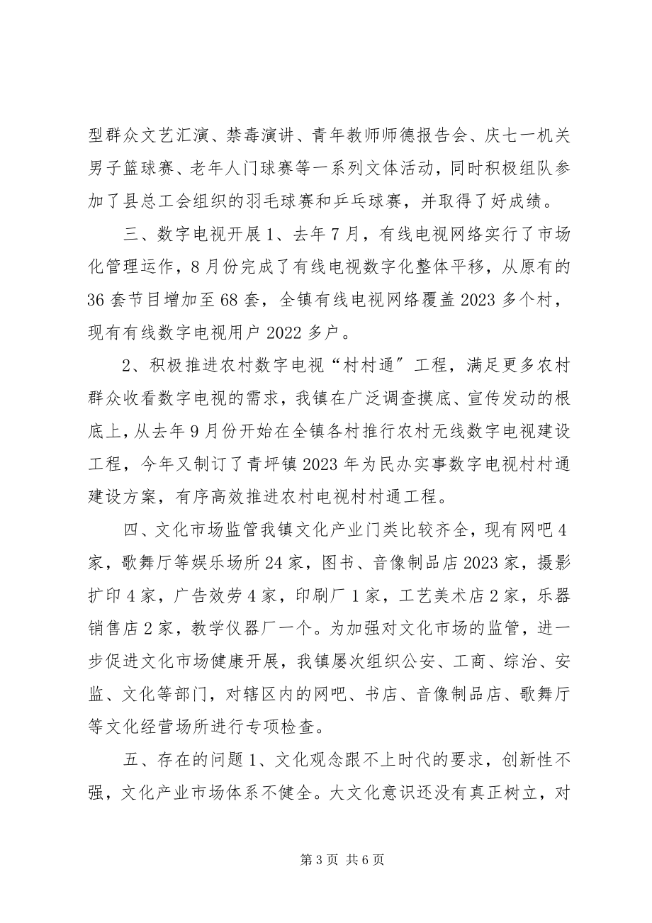 2023年乡镇综合文化站工作调研报告.docx_第3页