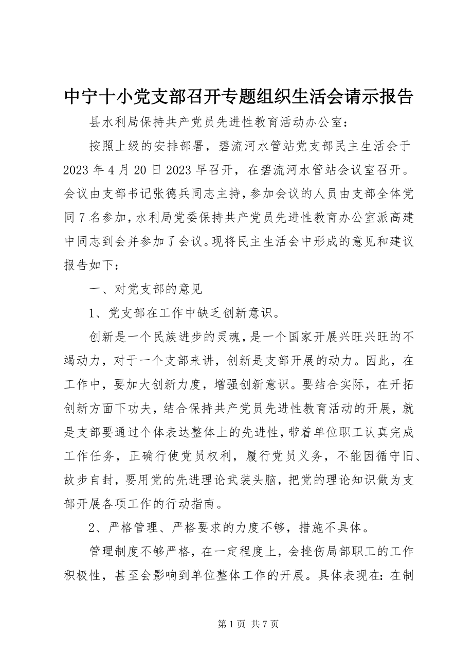 2023年中宁十小党支部召开专题组织生活会请示报告.docx_第1页