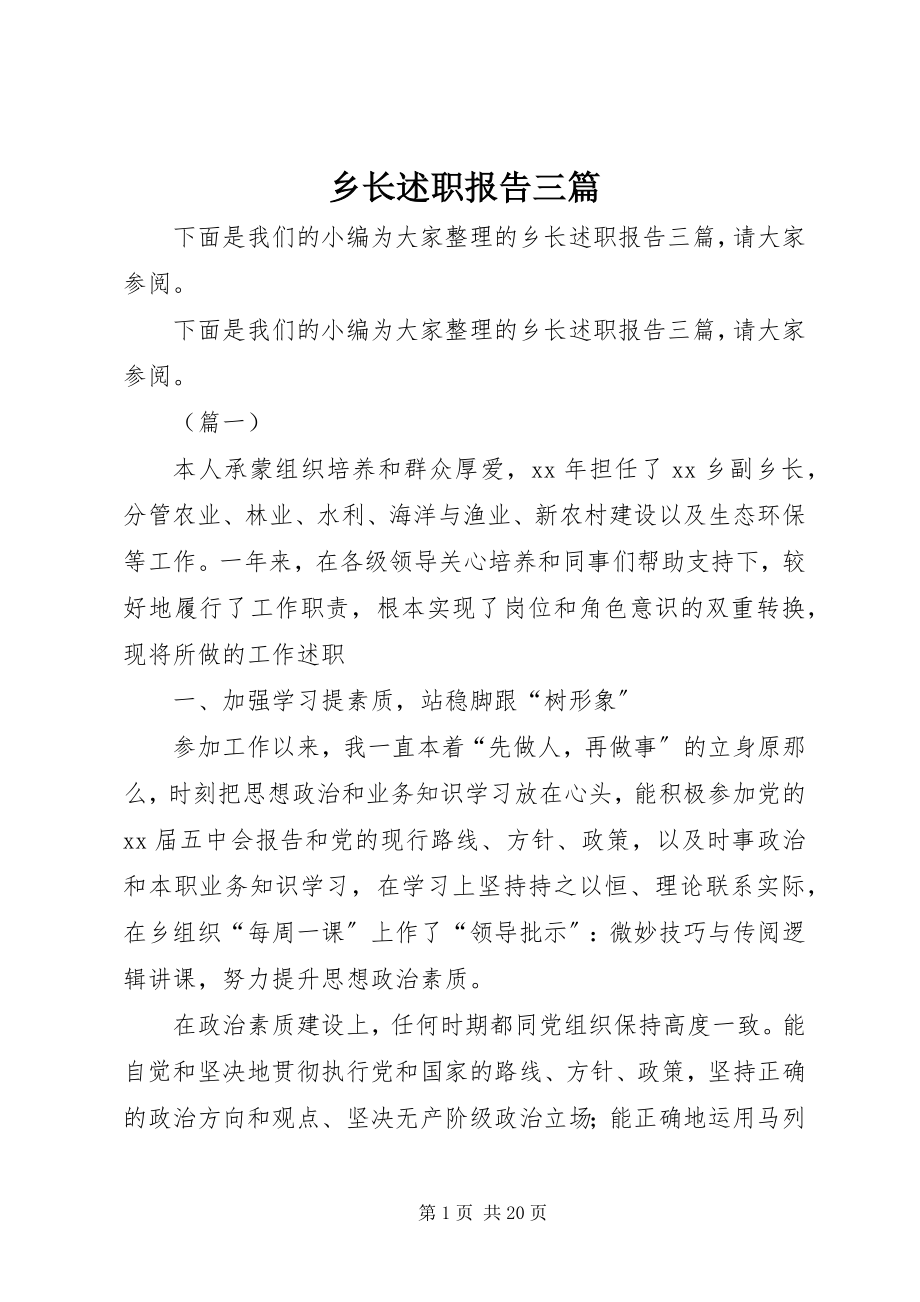 2023年乡长述职报告三篇.docx_第1页