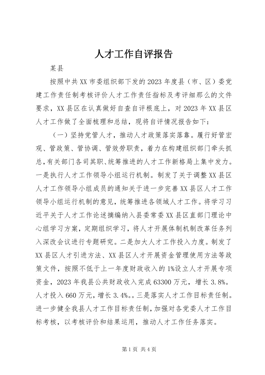 2023年人才工作自评报告.docx_第1页