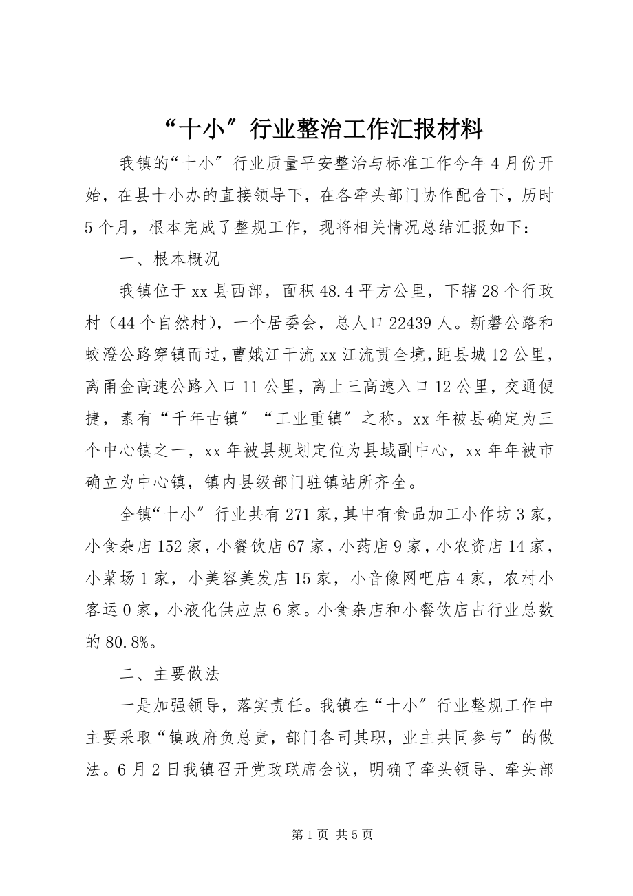 2023年“十小”行业整治工作汇报材料新编.docx_第1页