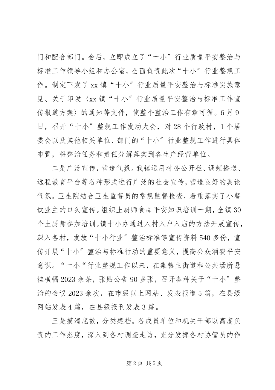 2023年“十小”行业整治工作汇报材料新编.docx_第2页