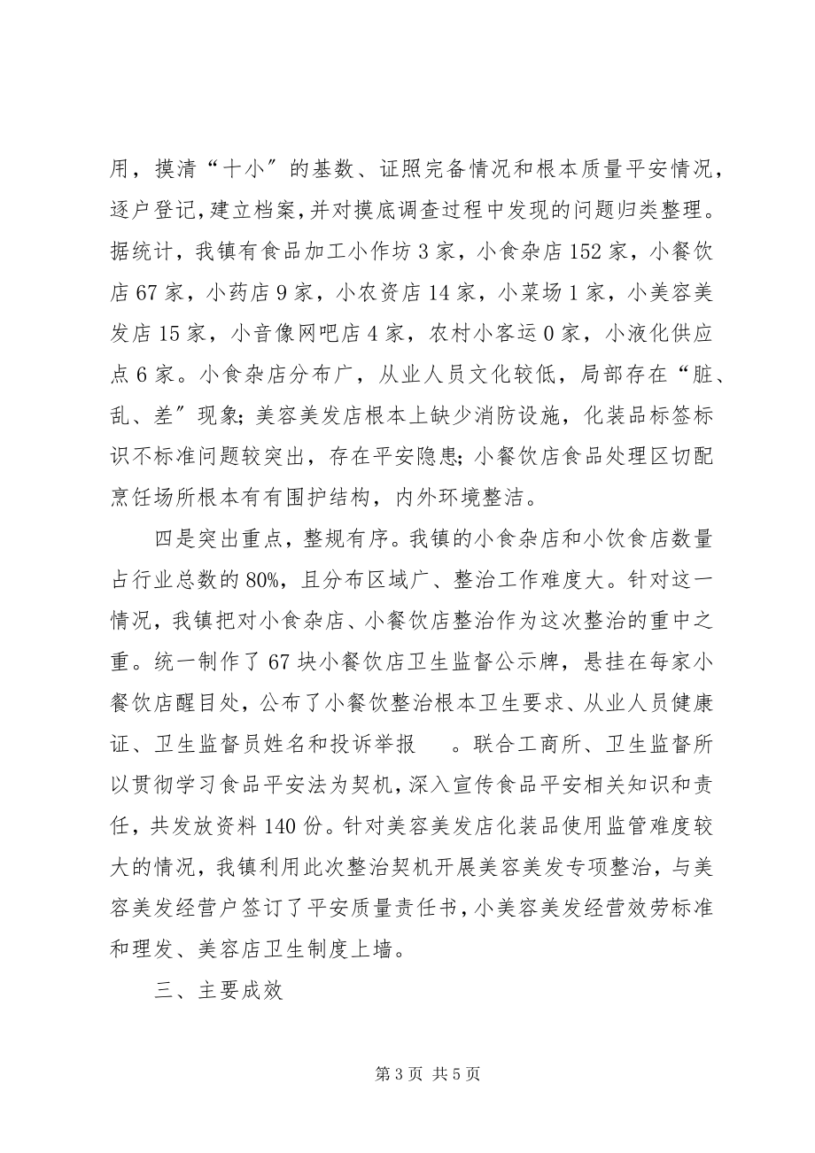 2023年“十小”行业整治工作汇报材料新编.docx_第3页