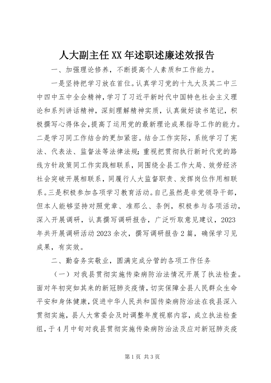 2023年人大副主任述职述廉述效报告.docx_第1页