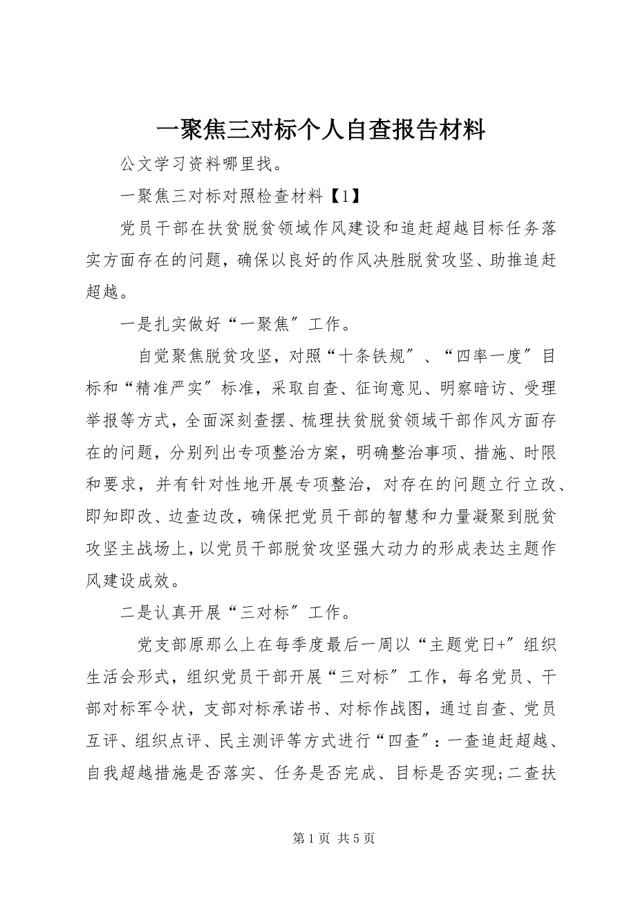 2023年一聚焦三对标个人自查报告材料.docx_第1页