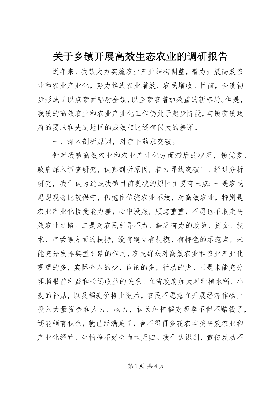 2023年乡镇发展高效生态农业的调研报告.docx_第1页