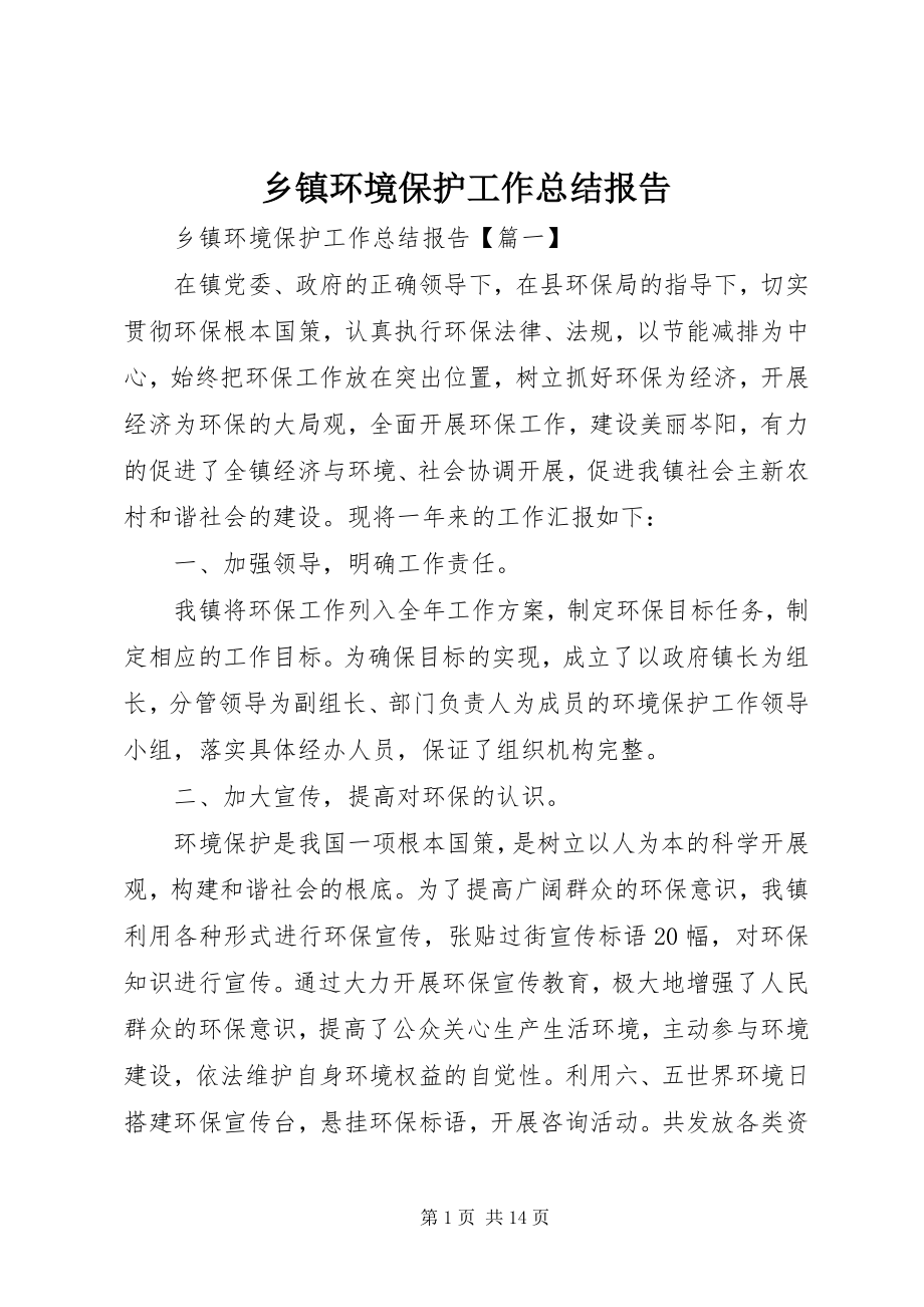 2023年乡镇环境保护工作总结报告.docx_第1页