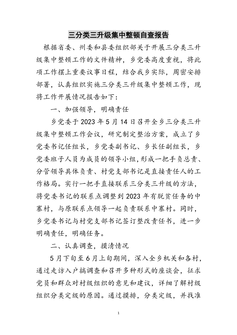 2023年三分类三升级集中整顿自查报告范文.doc_第1页