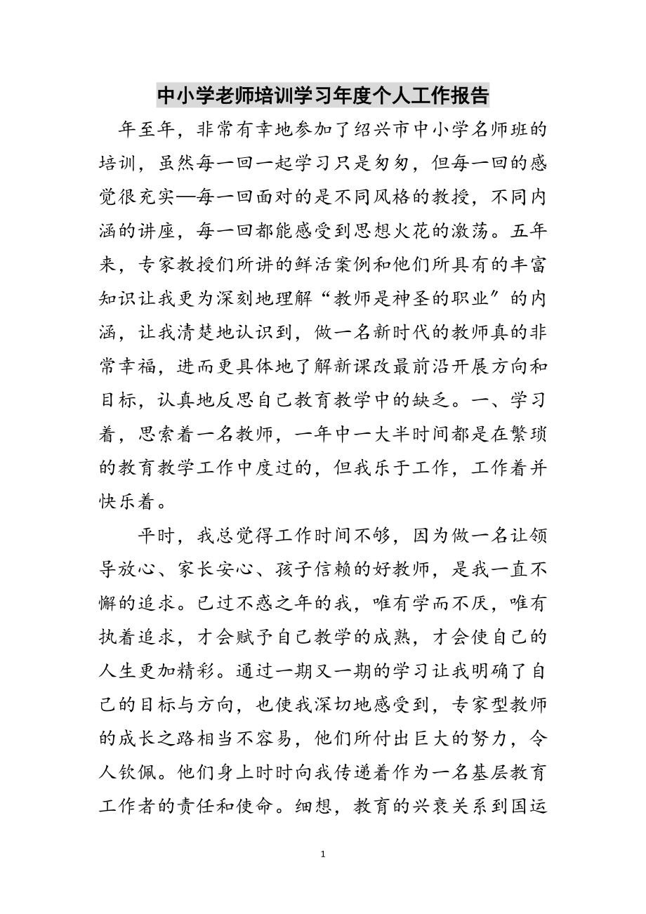 2023年中小学老师培训学习年度个人工作报告范文.doc_第1页