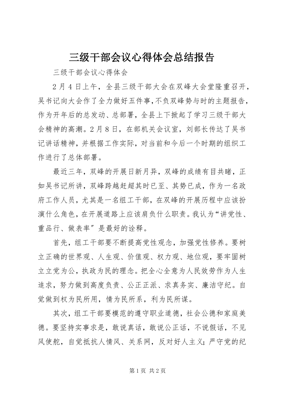 2023年三级干部会议心得体会总结报告.docx_第1页