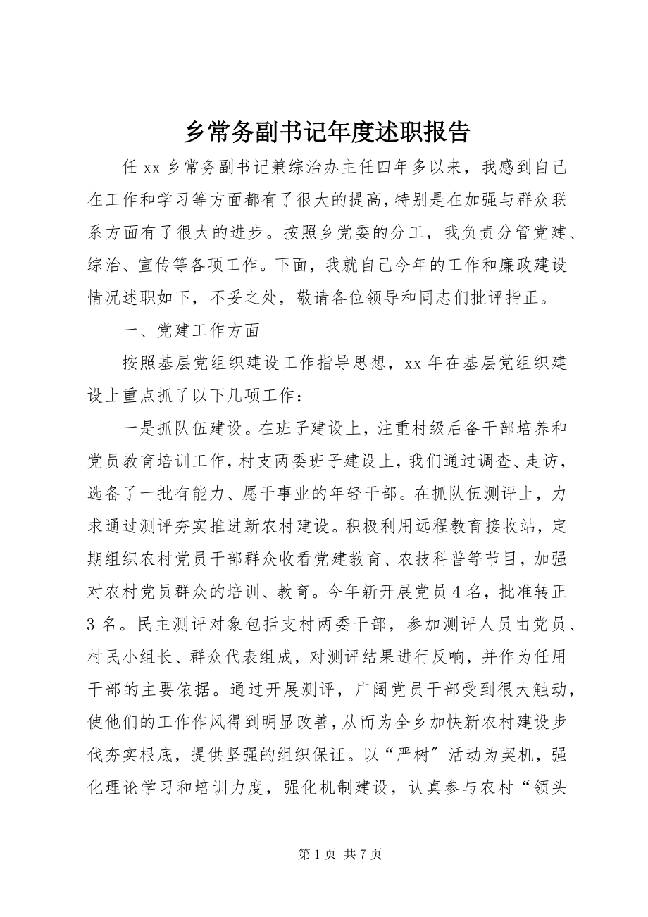 2023年乡常务副书记年度述职报告.docx_第1页