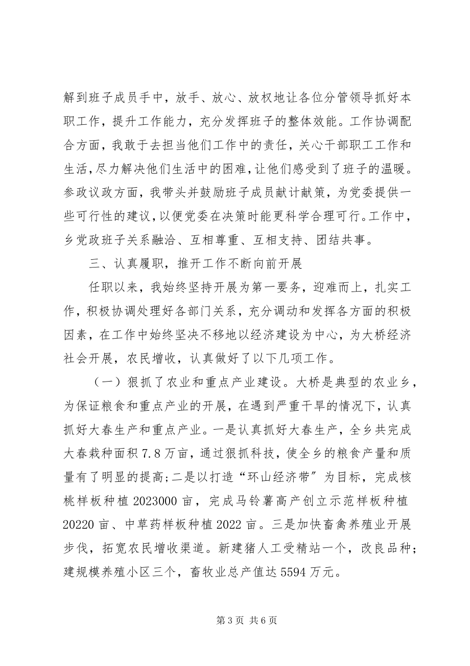 2023年乡长述职述德述廉报告.docx_第3页