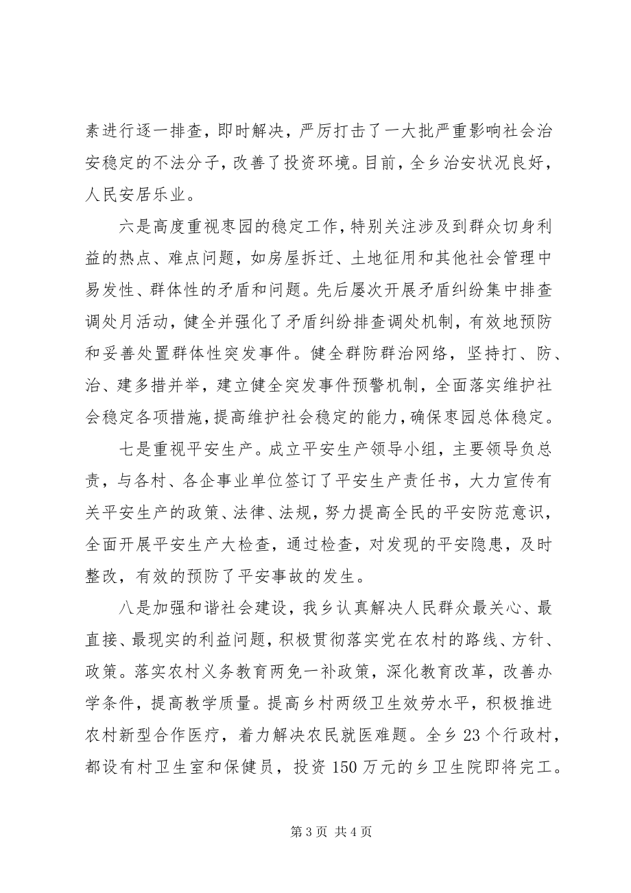 2023年乡镇长年终述职述廉报告.docx_第3页