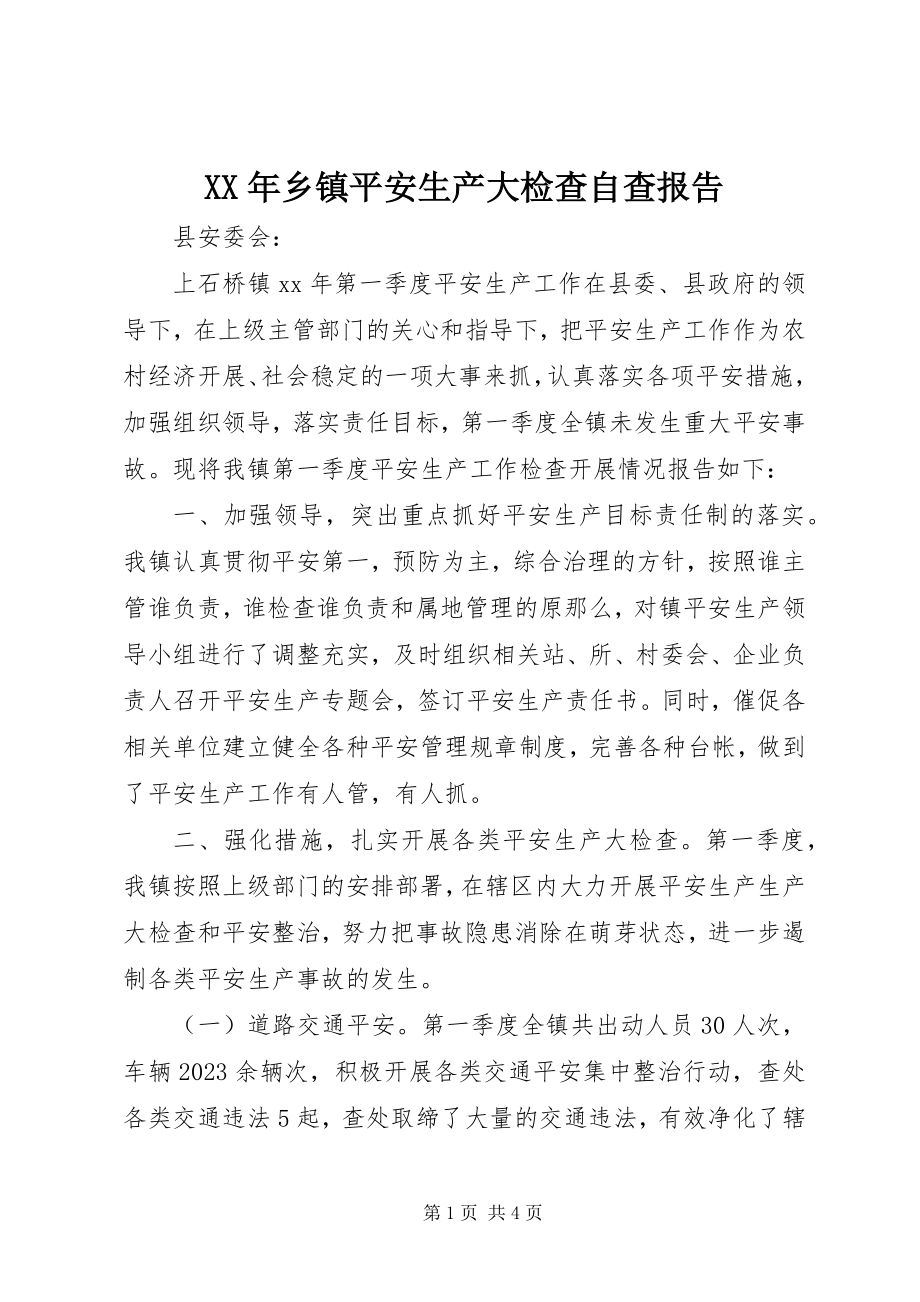 2023年乡镇安全生产大检查自查报告.docx_第1页