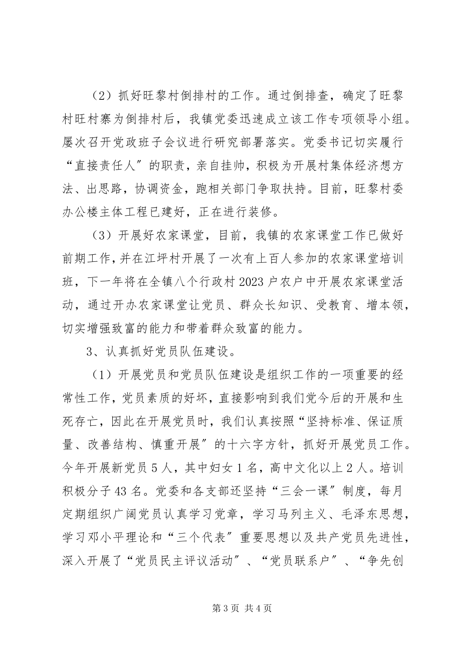 2023年乡镇党委组织委员兼副镇长述职报告.docx_第3页