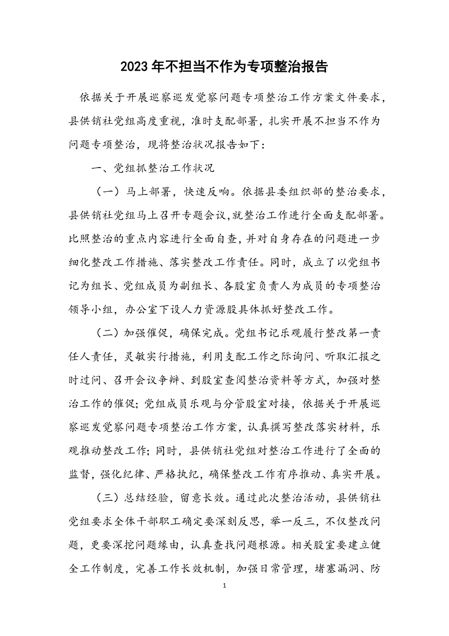 2023年不担当不作为专项整治报告.docx_第1页