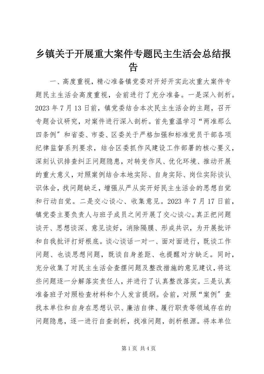 2023年乡镇关于开展重大案件专题民主生活会总结报告.docx_第1页