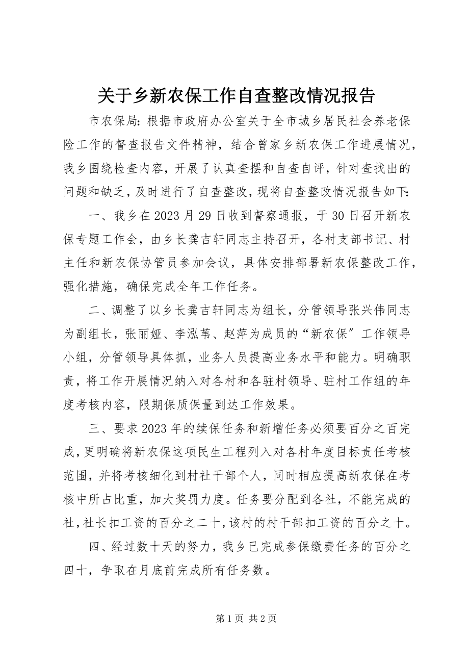 2023年乡新农保工作自查整改情况报告.docx_第1页